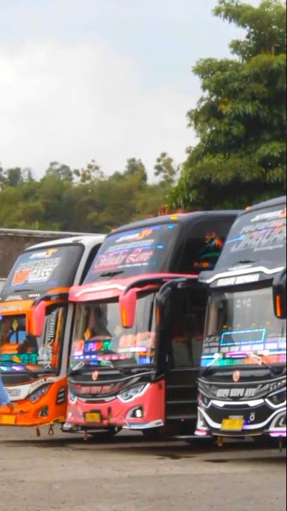 Story WA Bus Duet Kupu-kupu Ayu Free Mentahan
