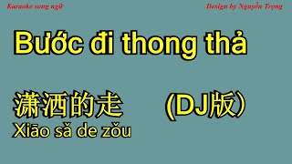 Karaoke - 潇洒的走  DJ版 - Bước đi thong thả - Xiao sa de zou 正云