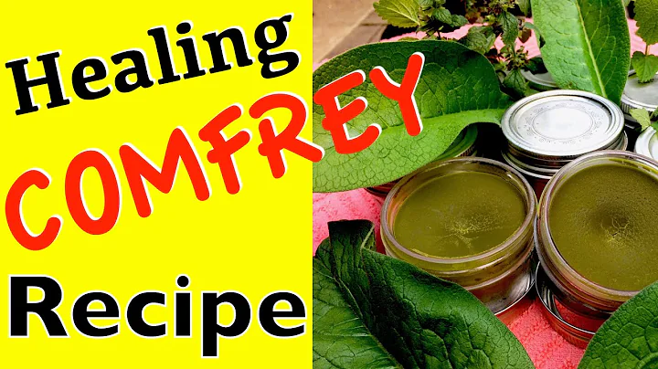 ORGANIC SALVE with LEMON BALM Can HEAL BURN and SCAR USING HERBS for TREATMENT LIKE a COMFREY PLANT