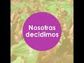 Nosotras decidimos