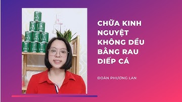 CHỮA KINH NGUYỆT KHÔNG DỀU BẰNG RAU DIẾP CÁ/ĐOÀN PHƯƠNG LAN