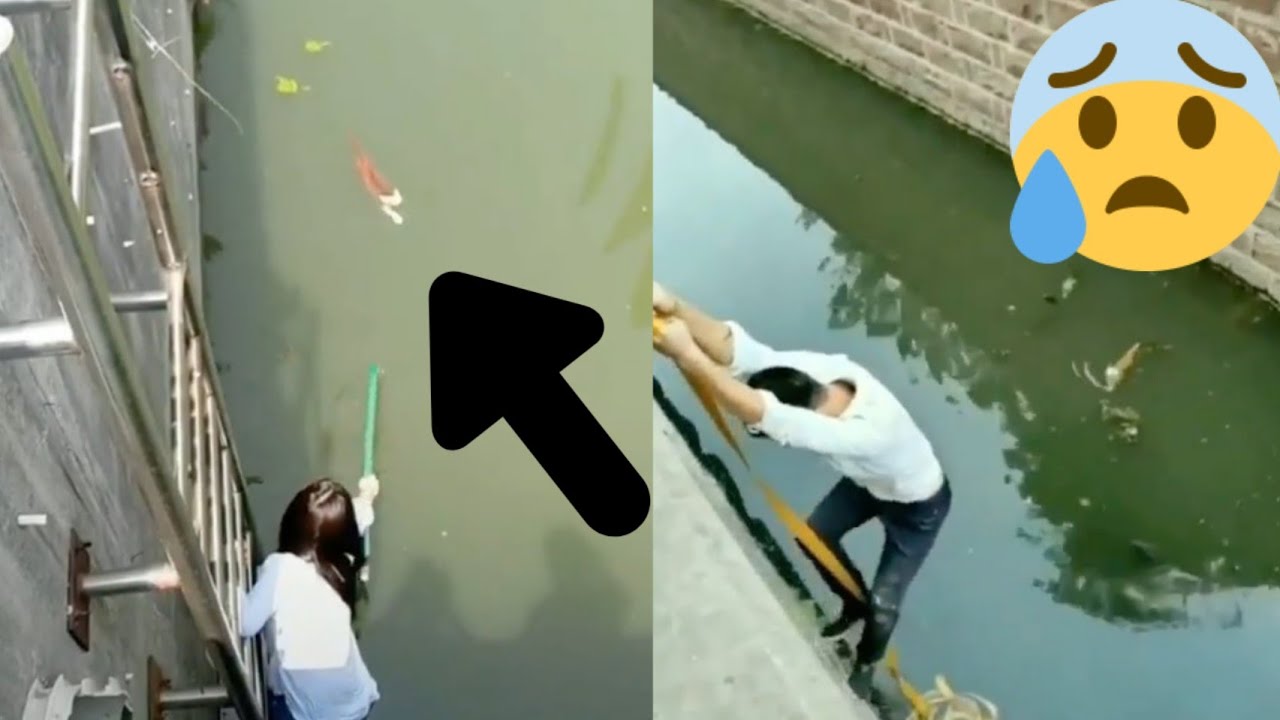 Kindhearted people help cats, Emotional cat video, sweet cat videos.