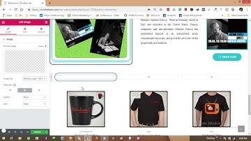 How to Add and Design Image and Customize Columns Border in Elementor - WordPress