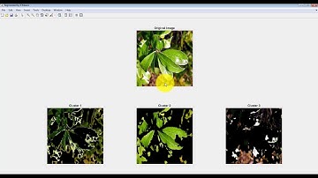 Xử lý ảnh phân loại bệnh trên lá cây +  Matlab code
