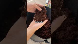 What's The Best DIY Potting Soil Recipe For Explosive Plant Growth? #shorts