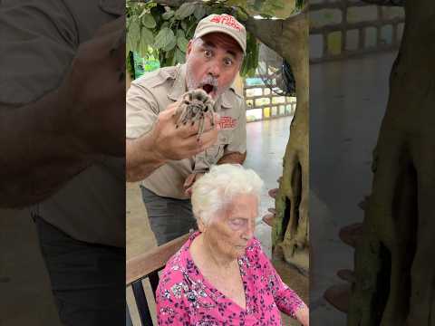 Spider Prank Gone Wrong 😱 @JayPrehistoricPetsTV