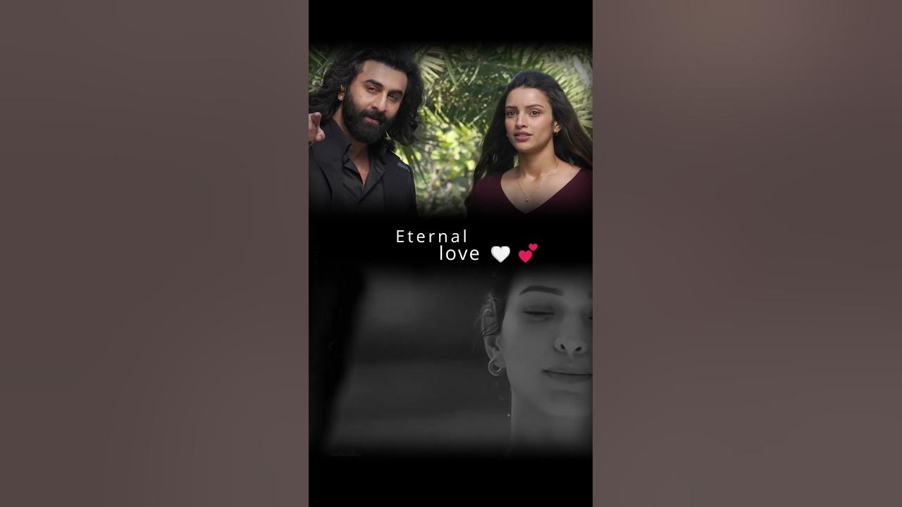 Evarevaro...|animal movie songs|ranbir kapoor|DimriTripti|evarevaro