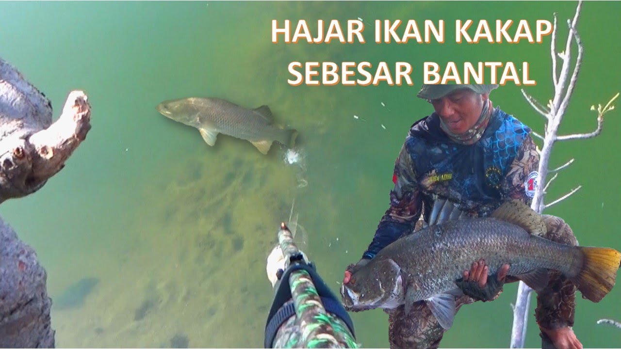 Ini Spot Ikan Kakap memang luar biasa...!!! Gak ada habisnya ikan kakapnya...!!! #paserikankakap 