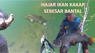 Download Lagu Ini Spot Ikan Kakap memang luar biasa...!!! Gak ada habisnya ikanya lewat terus...!!! MP3