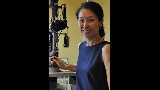 A clear vision for the future - Dr Elaine Chong