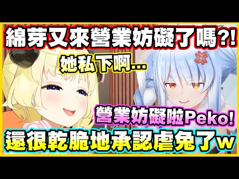 綿芽又來營業妨礙了嗎?!還很乾脆地承認自己是虐兔了w【角巻わため】【角卷綿芽】【兎田ぺこら】【Vtuber中文翻譯】