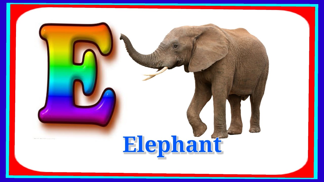 ABC| live examples | learn English alphabet with pictures |ABCD|A for ...
