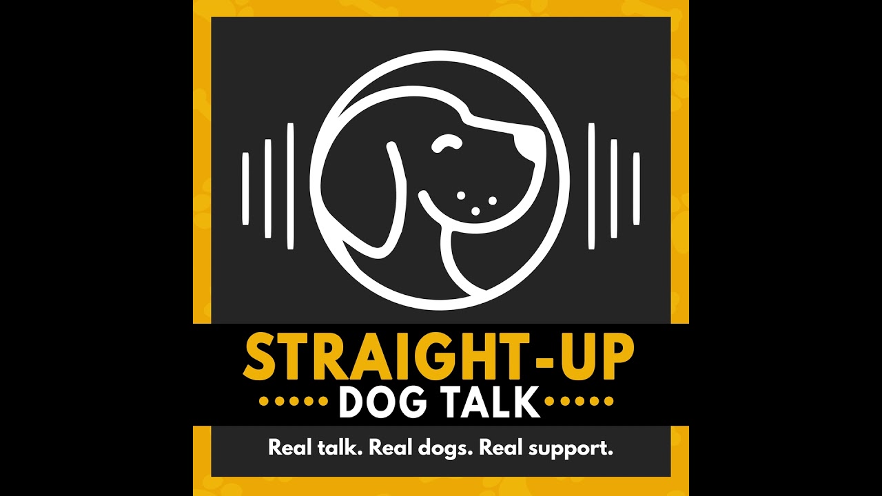 Why Dog Training Burnout Happens — And What It Says About You (Not Your Dog)