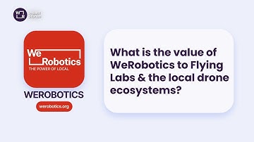 What is the value of WeRobotics to Flying Labs?