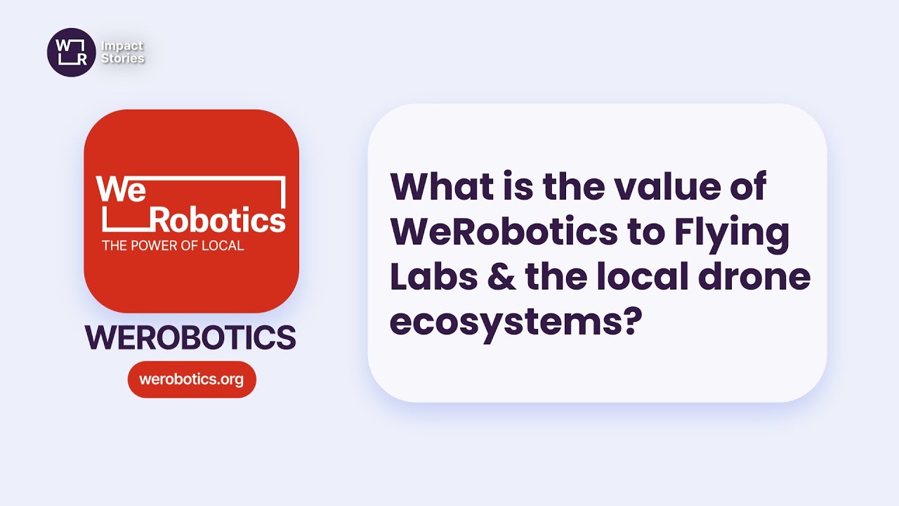 What is the value of WeRobotics to Flying Labs?