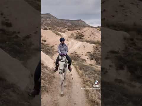 Horse riding in