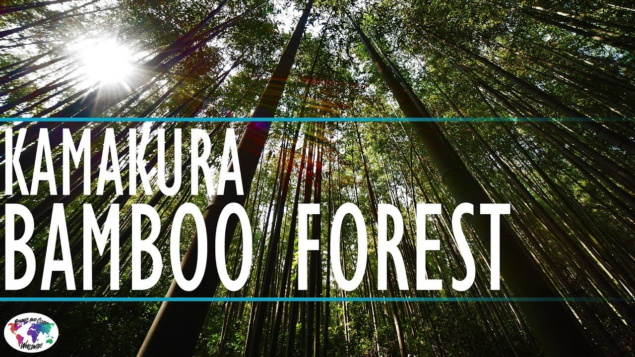 Discover Kamakura Bamboo Forest - Hokokuji Temple