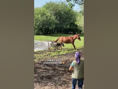 Зелень мелень 😍 - YouTube