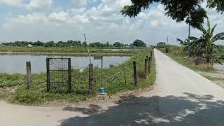 Download Lagu BARANGAY. DUNGAN CONCEPCION TARLAC 🐟🐟🐟 MP3