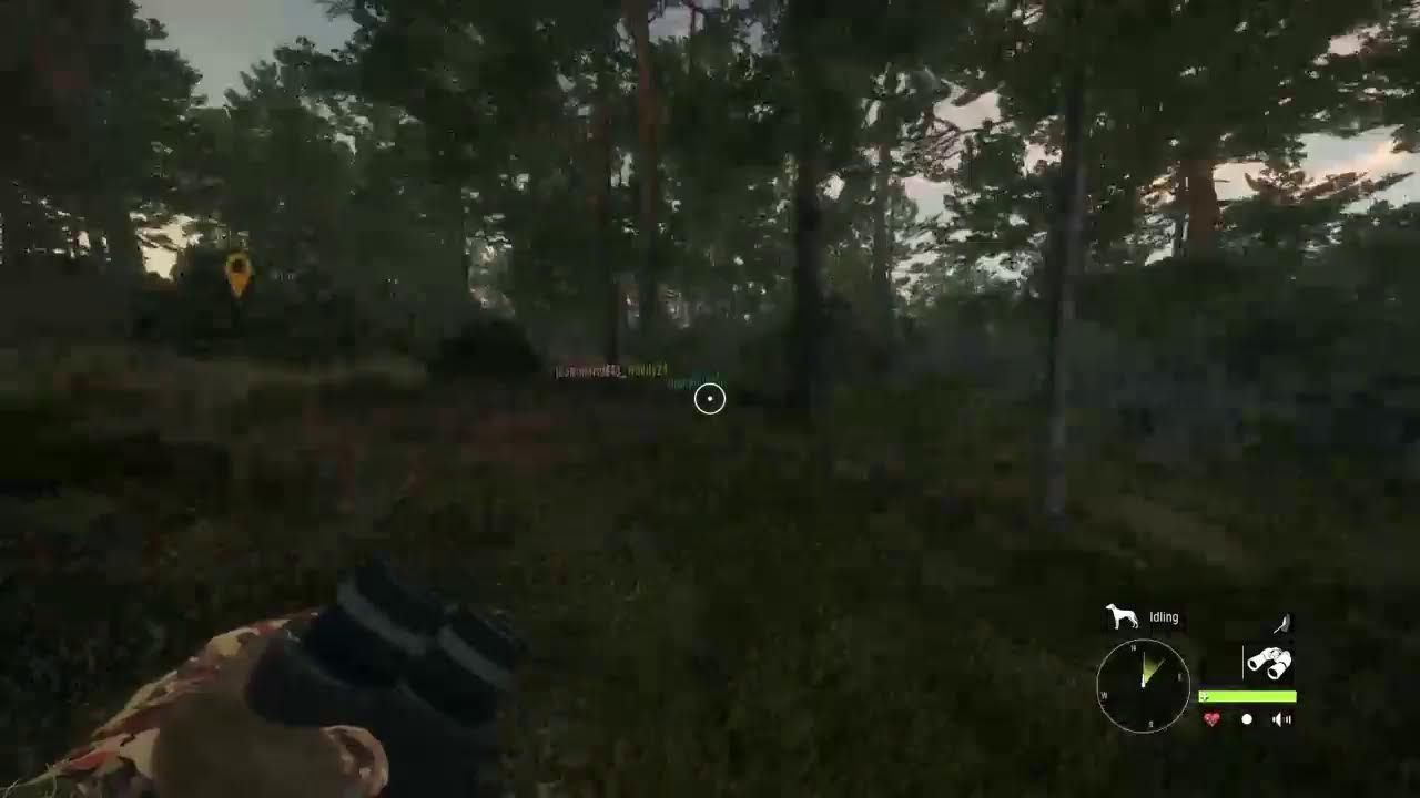 Swiss hunting hogs and ibex