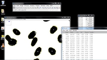 imagej用macro作分水嶺細胞分割03