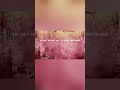 Can't Ration My Love - A Helldivers 2 Song #helldivers2