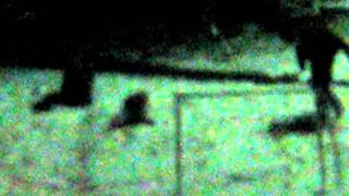 MVI_3508.AVI