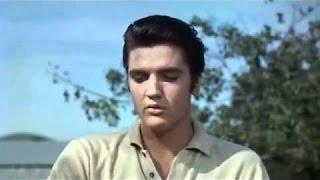 David Wells - Loving You - Elvis Presley