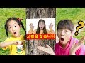 태풍이 와서 요요가 날아갔어요! 놀이터에서 숨바꼭질 놀이해요!Mashu hide and seek like BoramTube - 마슈토이 Mashu ToysReview