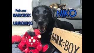 Bark box Unboxing (Feb 2018)