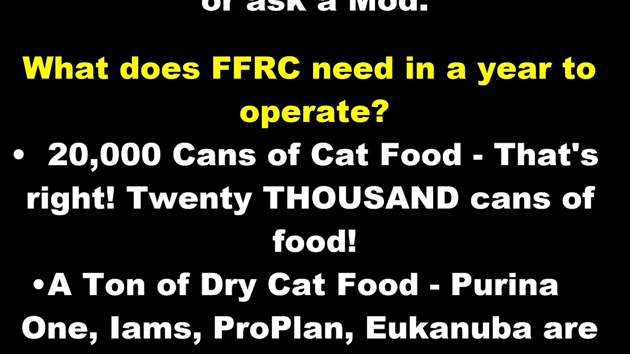 cage free vs organic eggs KITTY CHRISTMAS 2017