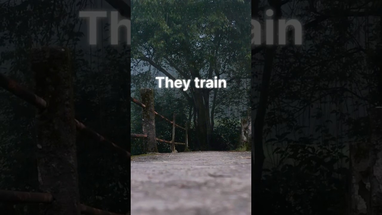 Don’t Wait For Permission 