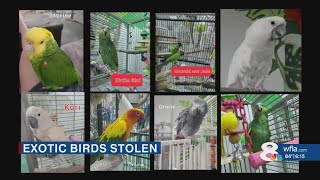 28 exotic birds stolen from Punta Gorda rescue could appear anywhere in Florida, police say screenshot 4