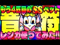 新ペットレンカ使ってみた‼︎ほんでペットはバンバン実装するのね【エースクラフト】
