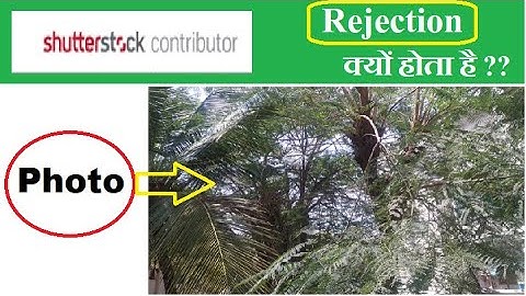 Reasons for rejection when photos videos are sent to Shutterstock for review