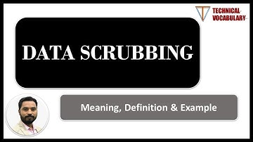 What is Data Scrubbing  | Meaning of Data Scrub | Definition of Data Scrub  | Technical Vocabulary