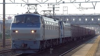 JR貨物 EF66-104+EF66-118 重連貨物列車 (月曜1353レ) 清洲駅 貨物専用線