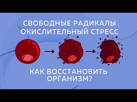 Свободные радикалы и Окислительный стресс. Как восстановить организм?