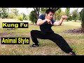 تدريب الكونغ فو على طريقة الحيوانات مع المواقف