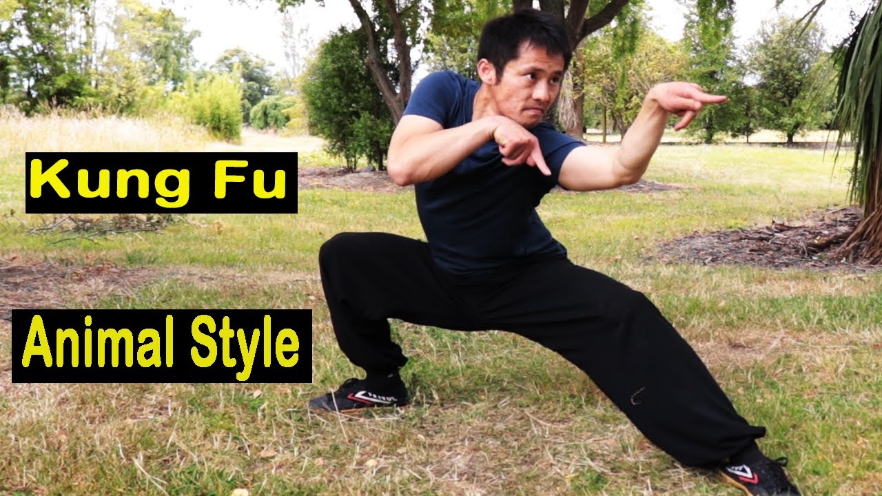 Kung Fu Animal Style With Stances Training - YouTube