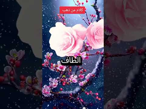 اكسبلور عش في حياتك أعمى وكن بصيرا عش في حياتك أصم وكن سميعا كلام من ذهب