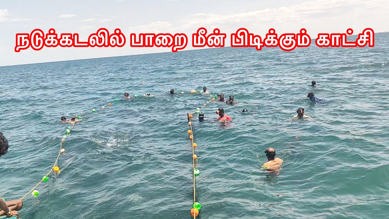 நடுக்கடலில் உயிருடன் பல டன் பாறை மீன் பிடிக்கும் நேரடி காட்சி💯🔥🦈