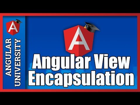 💥 Angular View