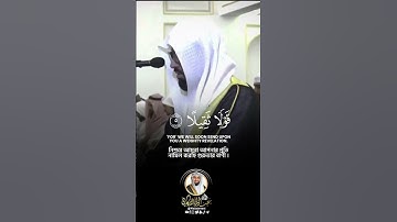 سورة المزمل SURAH AL-MUZZAMMIL #عبدالولي_الاركاني #abdulwali_alarkani