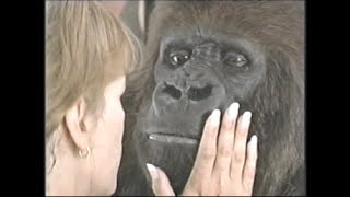 Movieplex Commercials Early 2010S