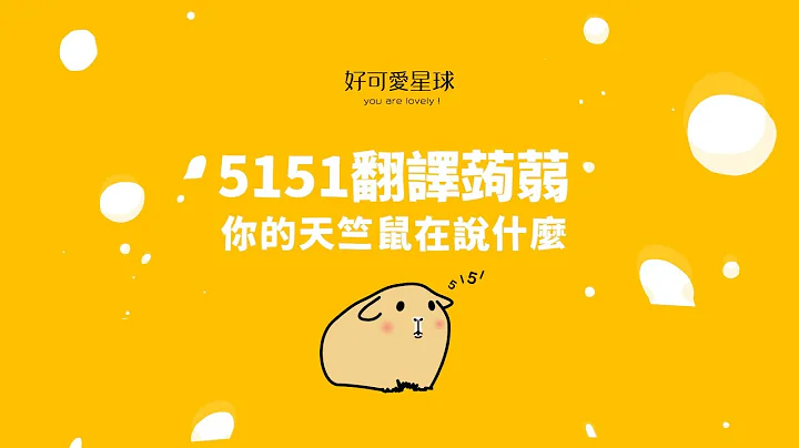 想知道你的天竺鼠在说什么吗？ - 天天要闻