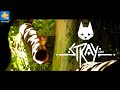 Stray on Playstation 4 - PKGPS4.click