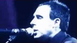 Video thumbnail of "The Violet Burning - Gorgeous, Live"