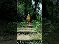 Mysterious trekking through a forest #trekking #travelshorts
