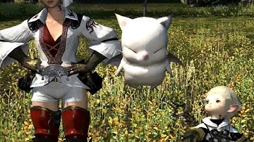 Final Fantasy XIV A Realm Reborn Walkthrough 13 Minutes Gameplay Trailer 【HD】